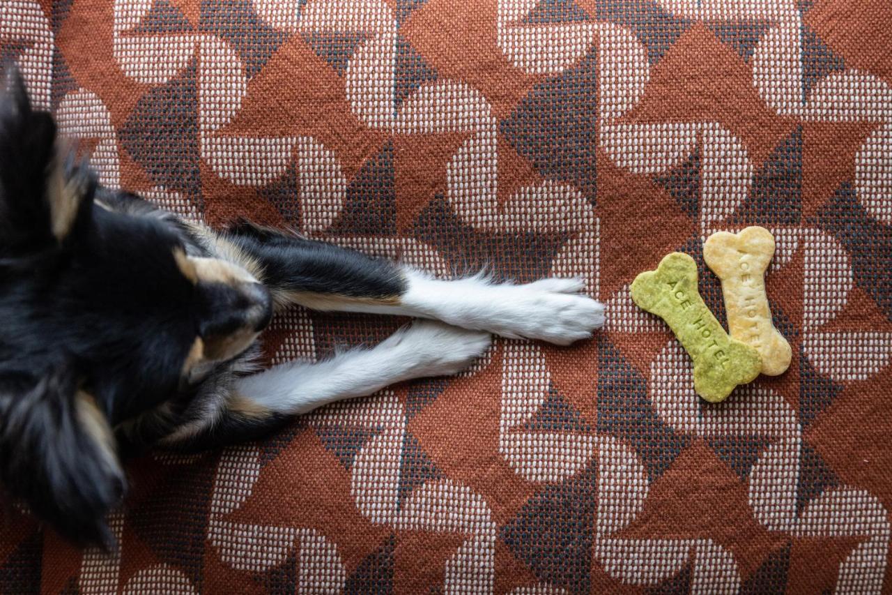 Ace Hotel Kyōto Esterno foto Dog biscuits
